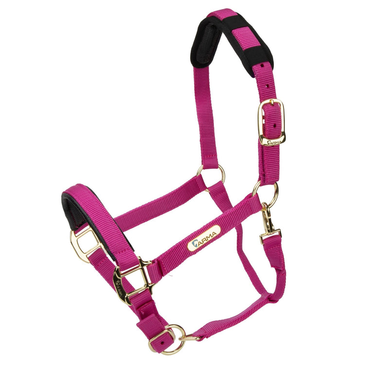 Load image into Gallery viewer, Topaz Nylon Headcollar - Ashurst Equestrian &amp; Country
