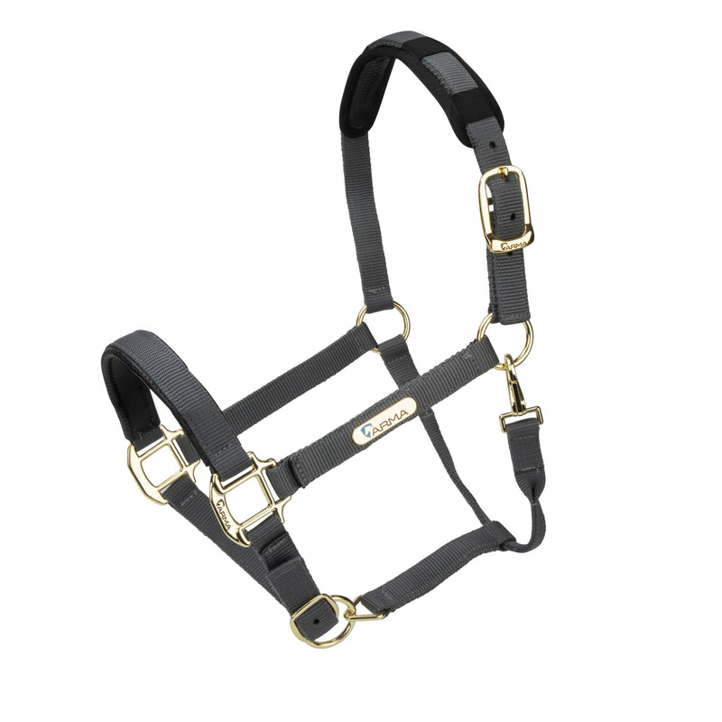 Load image into Gallery viewer, Topaz Nylon Headcollar - Ashurst Equestrian &amp; Country
