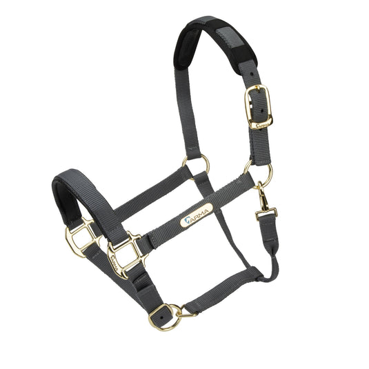 Topaz Nylon Headcollar - Ashurst Equestrian & Country