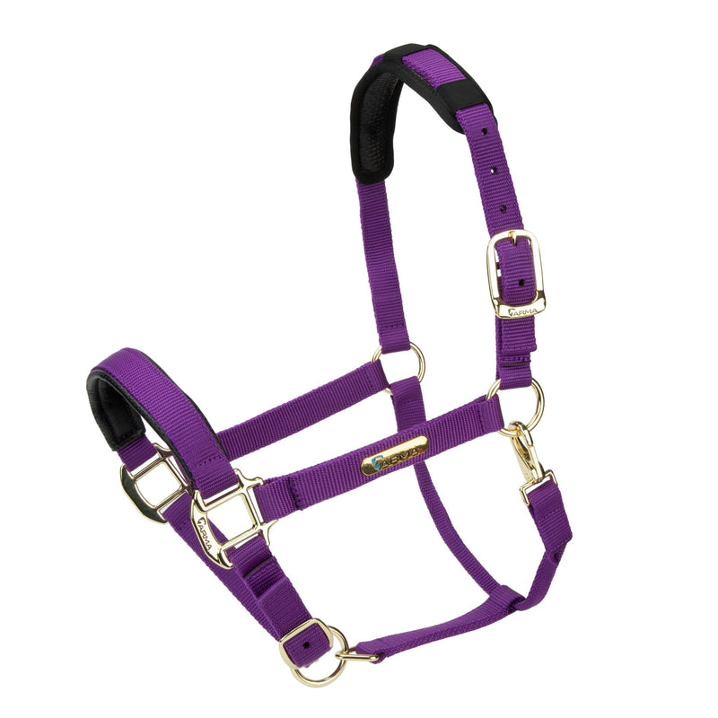 Load image into Gallery viewer, Topaz Nylon Headcollar - Ashurst Equestrian &amp; Country
