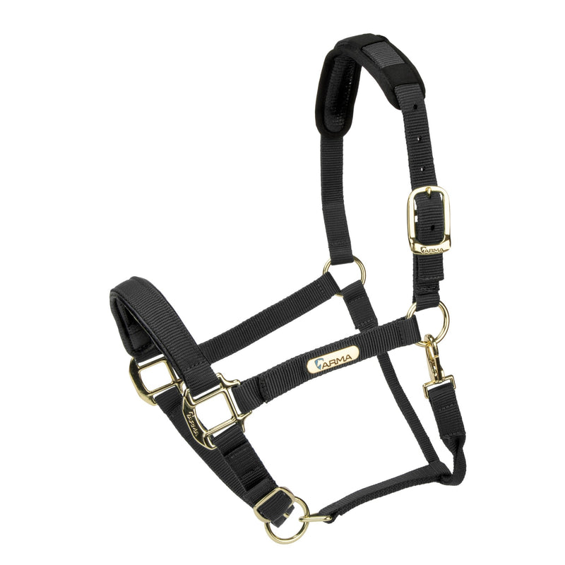 Load image into Gallery viewer, Topaz Nylon Headcollar - Ashurst Equestrian &amp; Country
