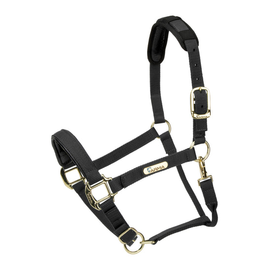 Topaz Nylon Headcollar - Ashurst Equestrian & Country