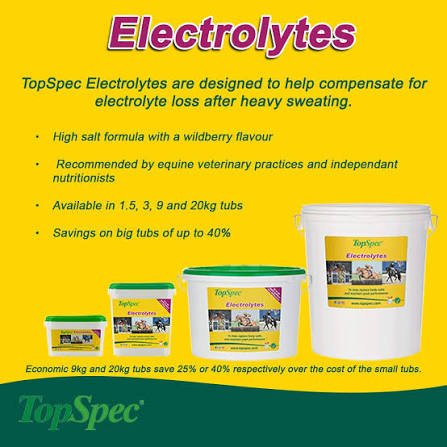 Load image into Gallery viewer, TopSpec Electrolytes - 1.5kg - Ashurst Equestrian &amp; Country
