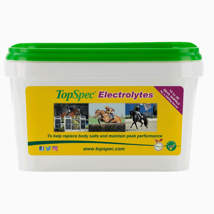 Topspec Electrolytes - Ashurst Equestrian & Country