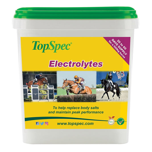 Topspec Electrolytes - Ashurst Equestrian & Country