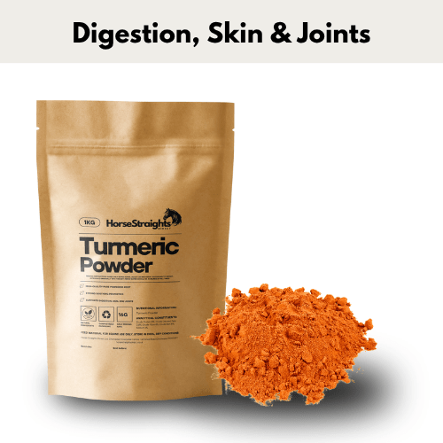 Turmeric - Ashurst Equestrian & Country