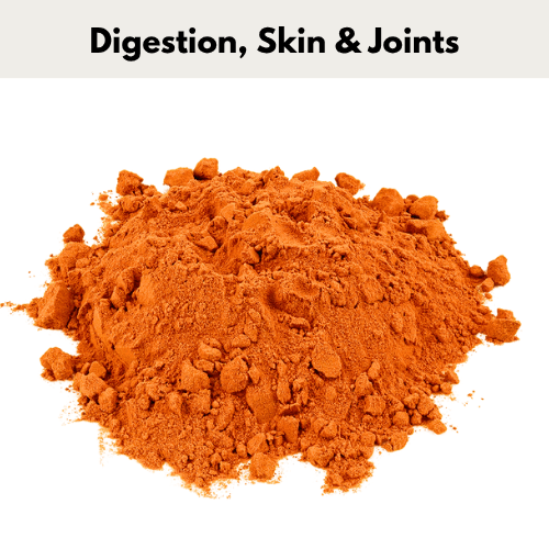 Turmeric - Ashurst Equestrian & Country