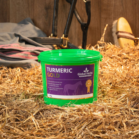 Turmeric - Global Herbs - Ashurst Equestrian & Country