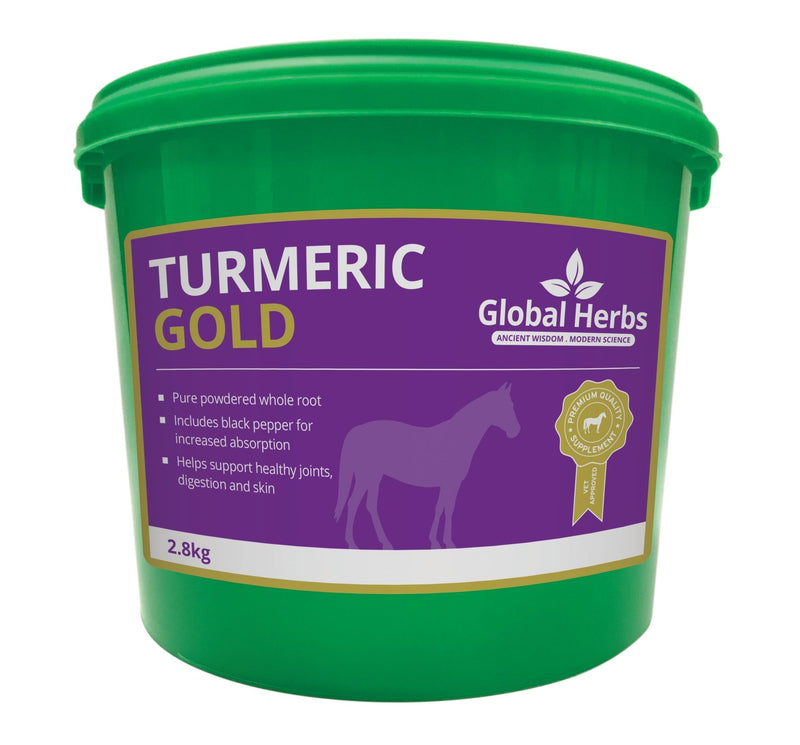 Load image into Gallery viewer, Turmeric - Global Herbs - Ashurst Equestrian &amp; Country
