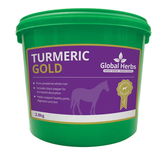 Turmeric - Global Herbs - Ashurst Equestrian & Country