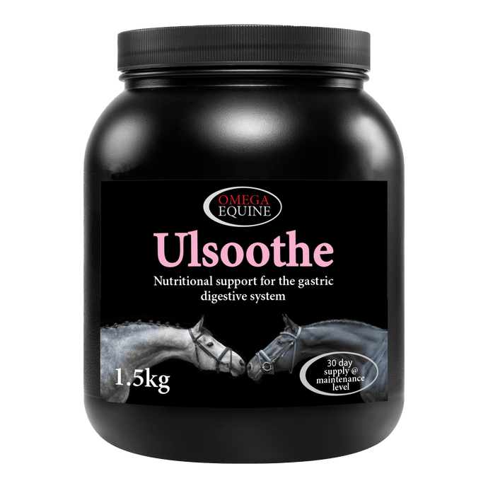 Ulsoothe - Ashurst Equestrian & Country