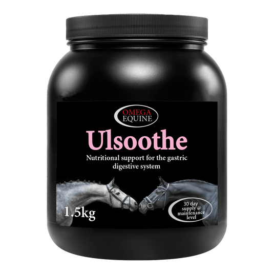 Ulsoothe - Ashurst Equestrian & Country