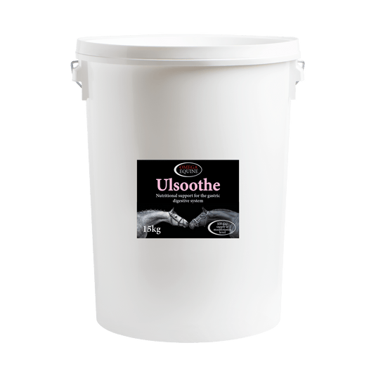 Ulsoothe - Ashurst Equestrian & Country