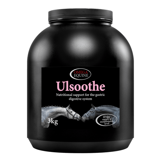 Ulsoothe - Ashurst Equestrian & Country