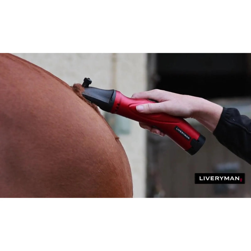Load image into Gallery viewer, Liveryman Phoenix Clippers
