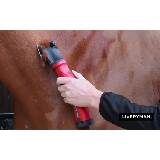 Liveryman Phoenix Clippers