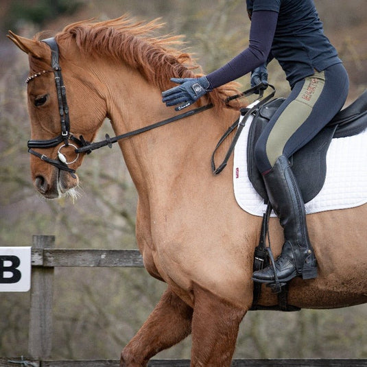 Vaqueros Premium Half - Chaps - Black - Ashurst Equestrian & Country