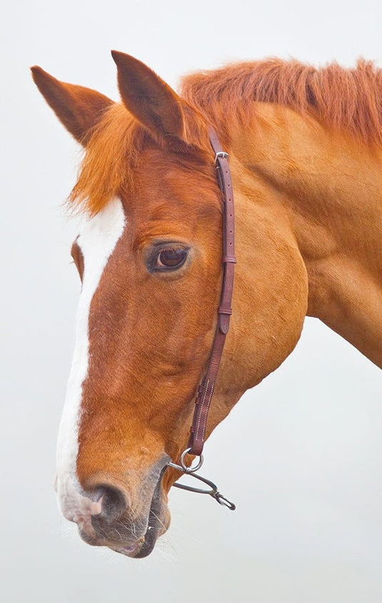 Velociti GARA Chifney Bit Strap - Ashurst Equestrian & Country