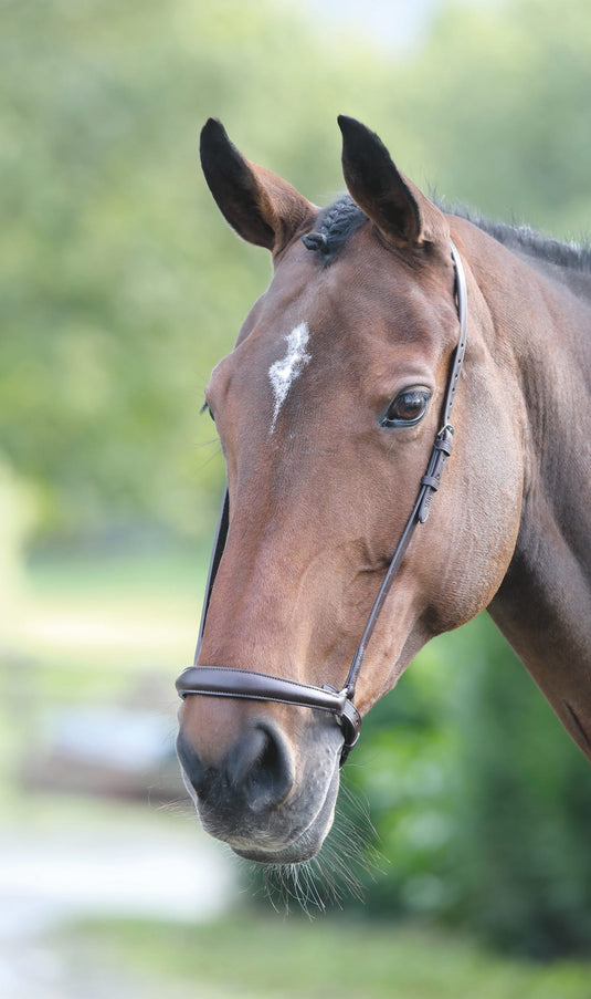 Velociti GARA Drop Noseband - Ashurst Equestrian & Country