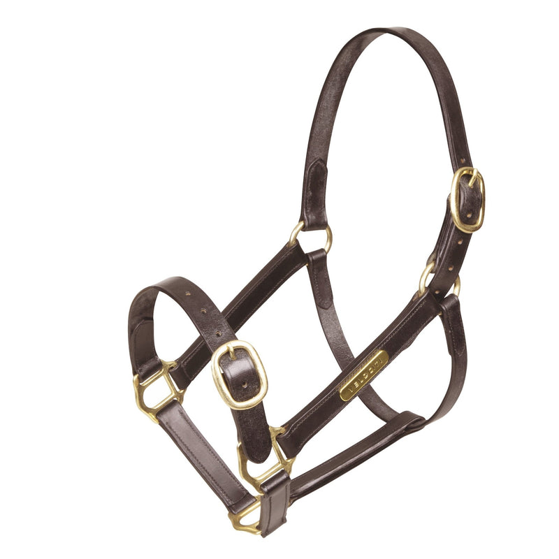 Load image into Gallery viewer, Velociti GARA Fully Adjustable Leather Headcollar - Ashurst Equestrian &amp; Country
