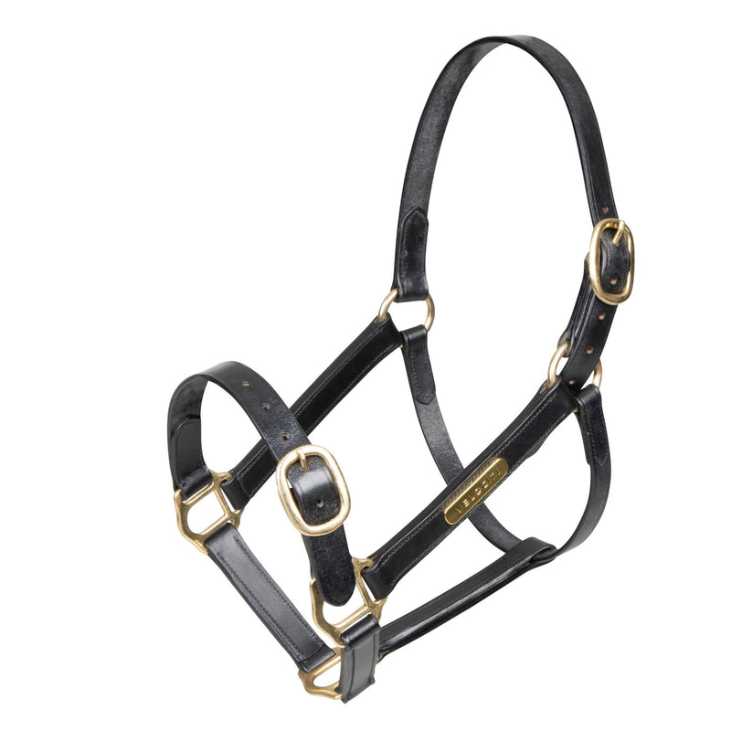 Load image into Gallery viewer, Velociti GARA Fully Adjustable Leather Headcollar - Ashurst Equestrian &amp; Country
