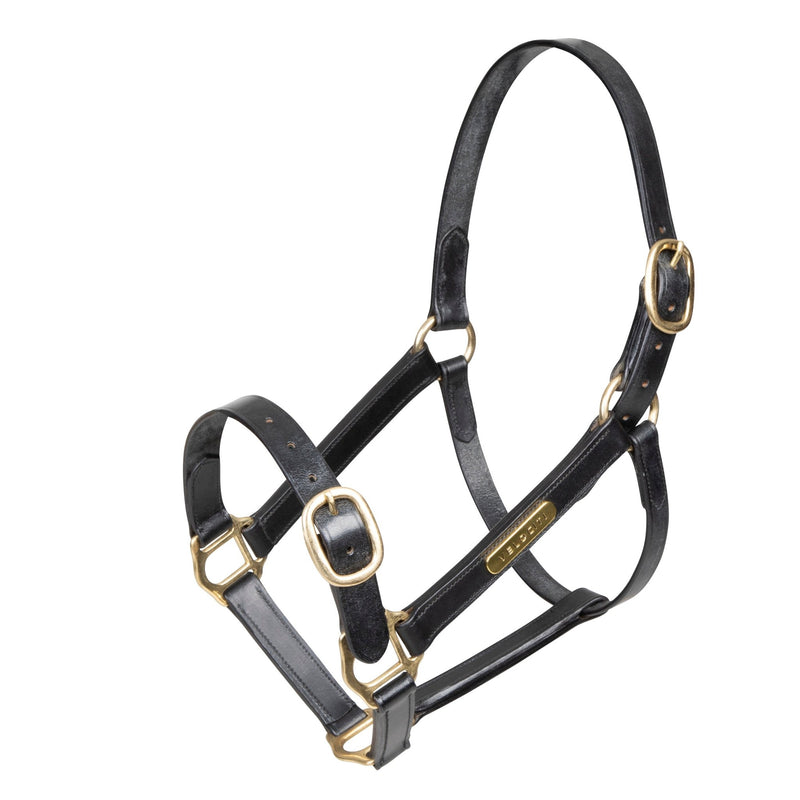Load image into Gallery viewer, Velociti GARA Fully Adjustable Leather Headcollar - Ashurst Equestrian &amp; Country
