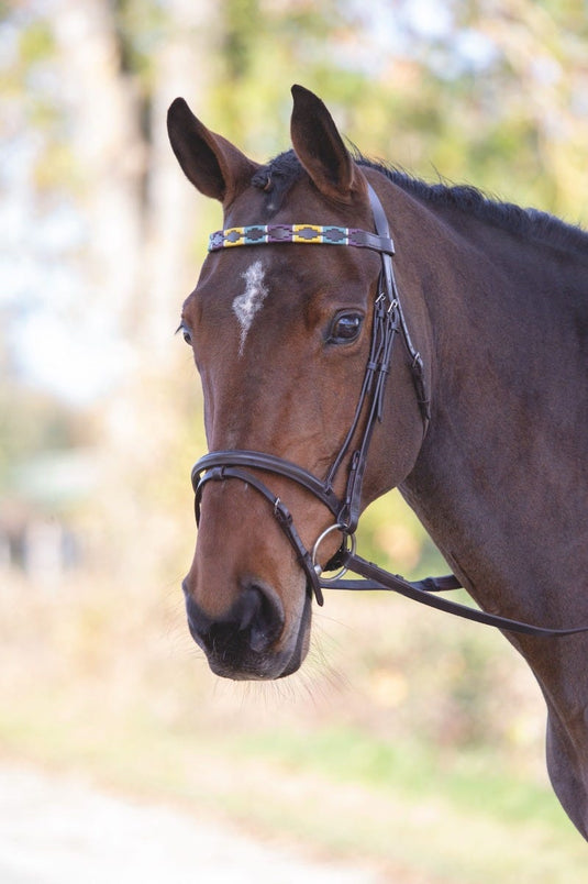 Velociti GARA Leather Polo Browband - Ashurst Equestrian & Country