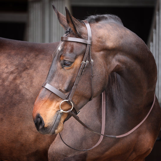 Velociti GARA Plain Bridle - Ashurst Equestrian & Country