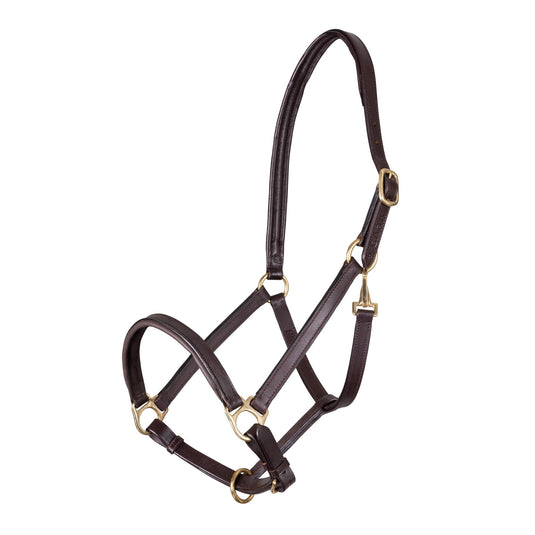 Velociti GARA Ragley Lined Leather Headcollar - Ashurst Equestrian & Country