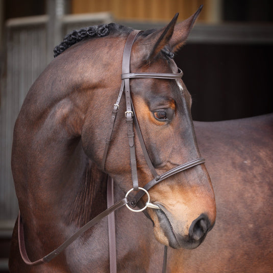 Velociti GARA Raised Cavesson Bridle - Ashurst Equestrian & Country