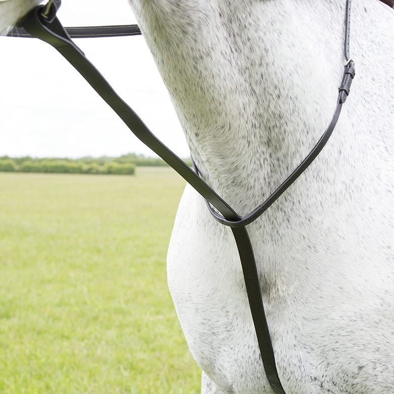 Load image into Gallery viewer, Velociti GARA Standing Martingale - Ashurst Equestrian &amp; Country
