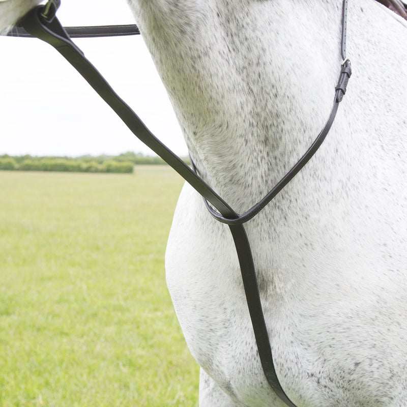 Load image into Gallery viewer, Velociti GARA Standing Martingale - Ashurst Equestrian &amp; Country
