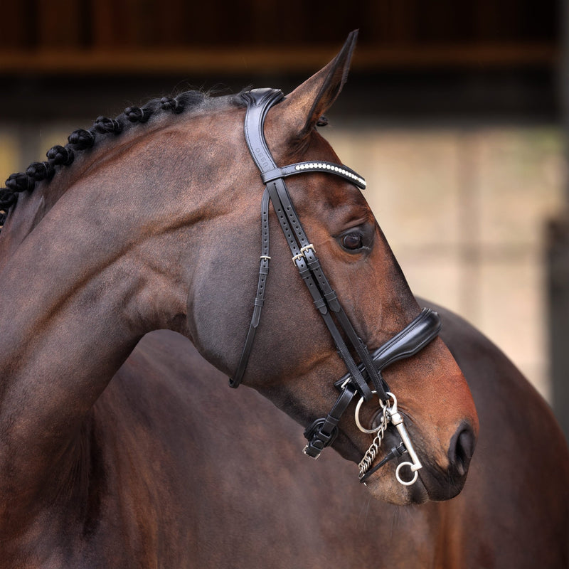 Load image into Gallery viewer, Velociti Lusso Elite Double Bridle - Ashurst Equestrian &amp; Country
