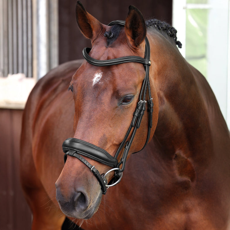 Load image into Gallery viewer, Velociti LUSSO Elite Dressage Flash Bridle - Ashurst Equestrian &amp; Country
