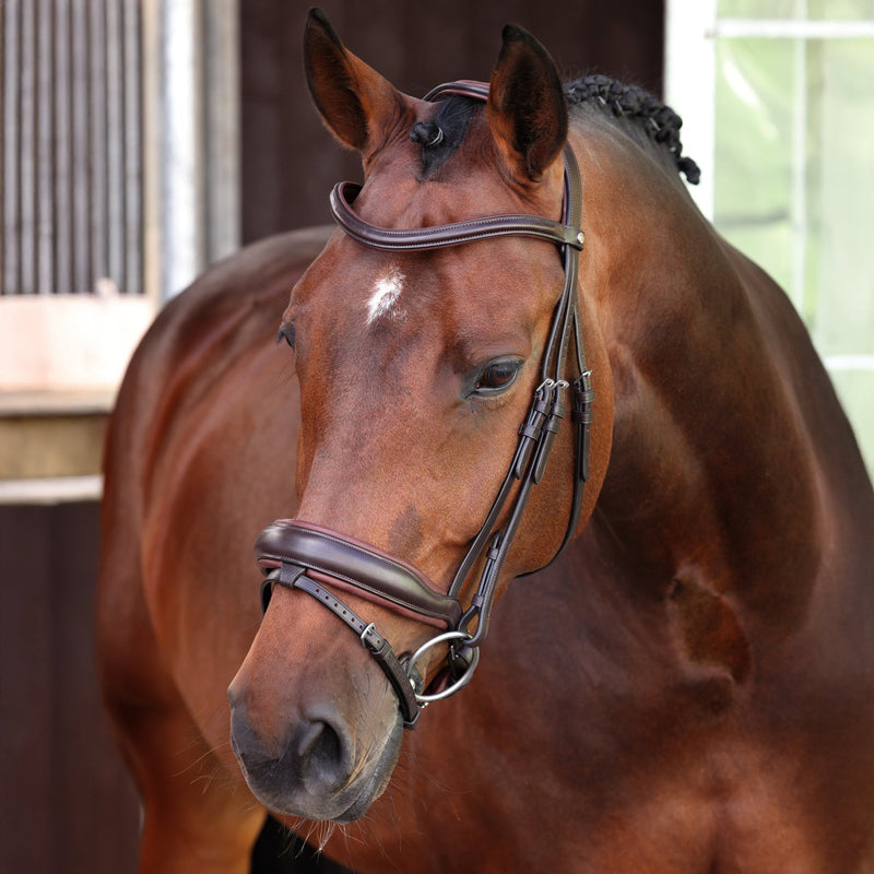 Load image into Gallery viewer, Velociti LUSSO Elite Dressage Flash Bridle - Ashurst Equestrian &amp; Country
