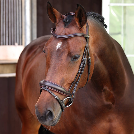 Velociti LUSSO Elite Dressage Flash Bridle - Ashurst Equestrian & Country