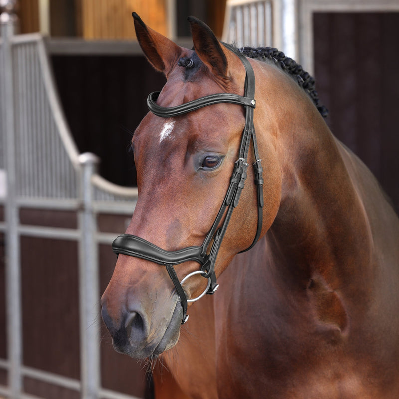 Load image into Gallery viewer, Velociti LUSSO Elite Ergonomic Flash Bridle - Ashurst Equestrian &amp; Country
