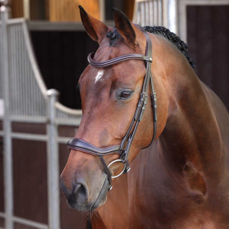 Load image into Gallery viewer, Velociti LUSSO Elite Ergonomic Flash Bridle - Ashurst Equestrian &amp; Country
