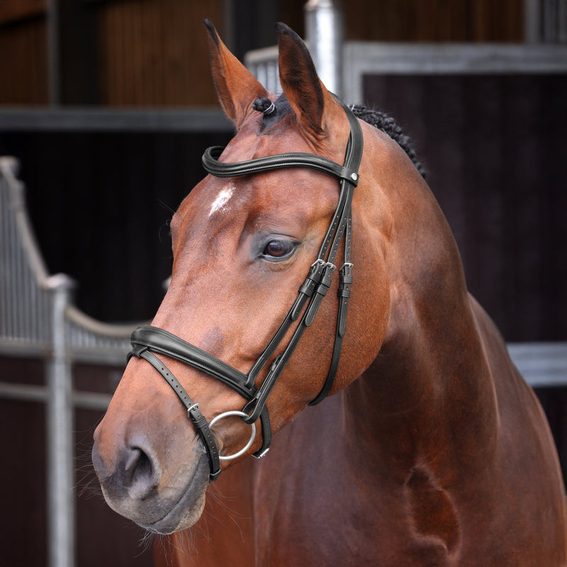 Load image into Gallery viewer, Velociti LUSSO Elite Padded Raised Flash Bridle - Ashurst Equestrian &amp; Country
