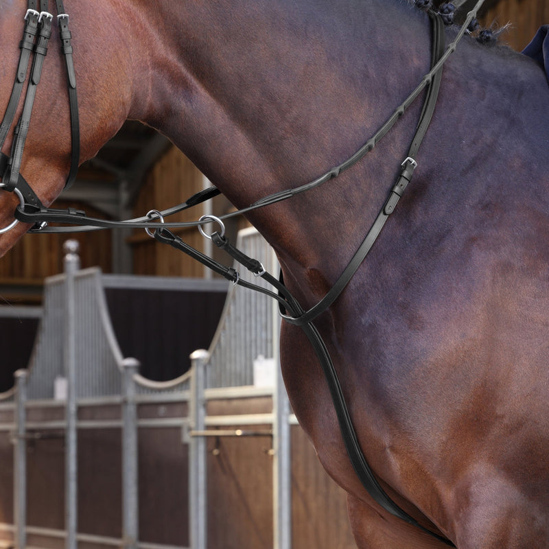 Load image into Gallery viewer, Velociti LUSSO Elite Running Martingale - Ashurst Equestrian &amp; Country
