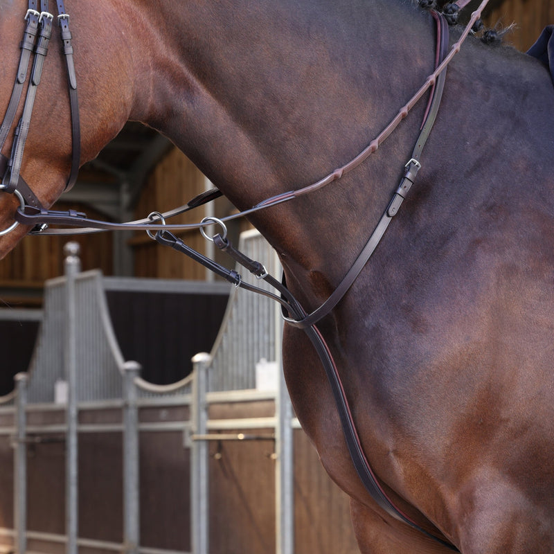 Load image into Gallery viewer, Velociti LUSSO Elite Running Martingale - Ashurst Equestrian &amp; Country
