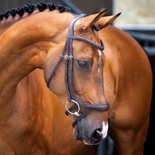 Velociti Lusso Ergonomic Curved Flash Bridle - Ashurst Equestrian & Country
