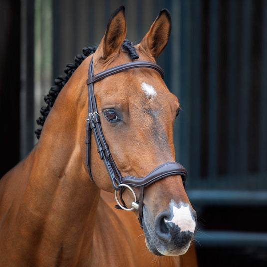Velociti Lusso Ergonomic Flash Bridle - Ashurst Equestrian & Country