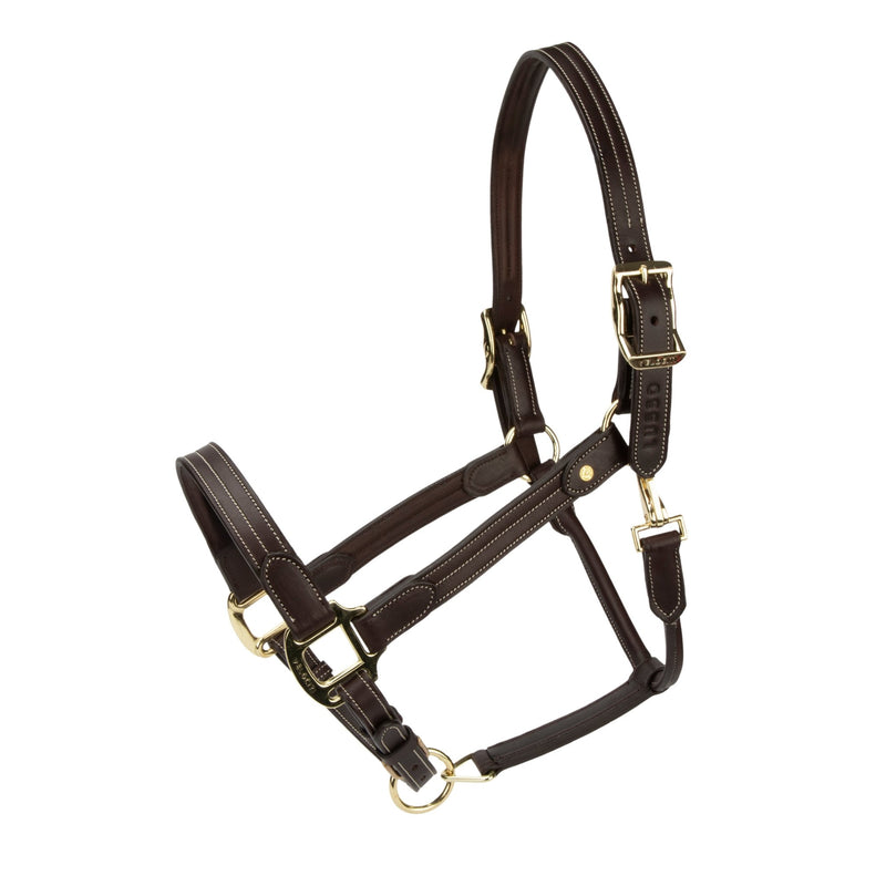 Load image into Gallery viewer, Velociti Lusso Girona Leather Headcollar - Ashurst Equestrian &amp; Country
