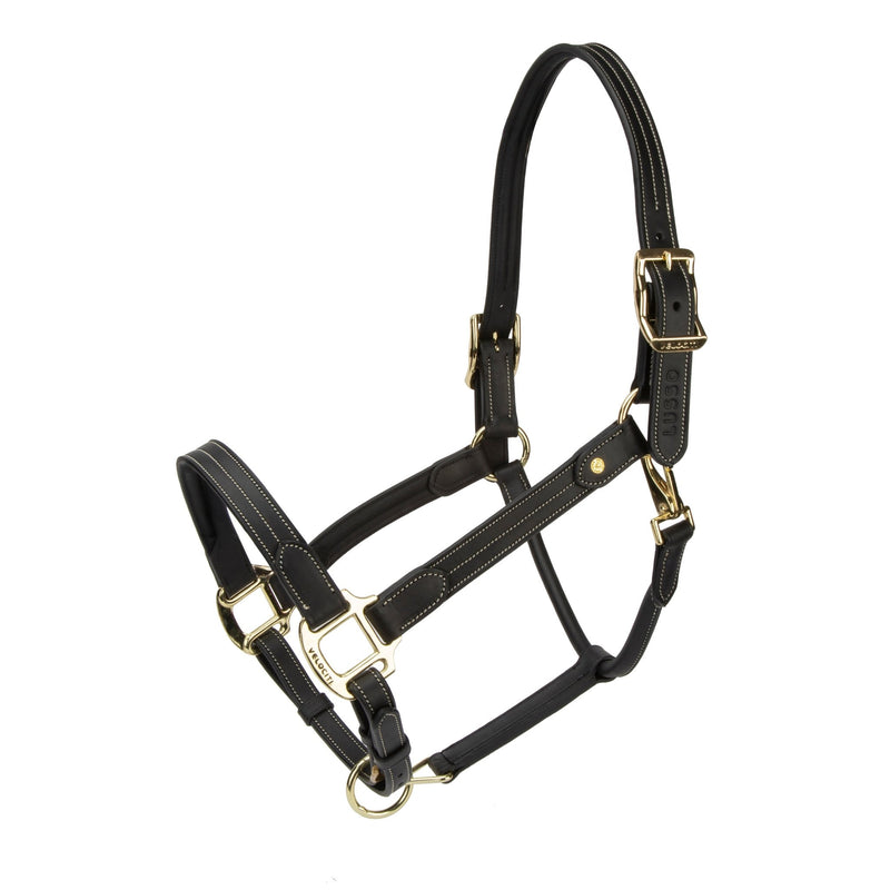 Load image into Gallery viewer, Velociti Lusso Girona Leather Headcollar - Ashurst Equestrian &amp; Country
