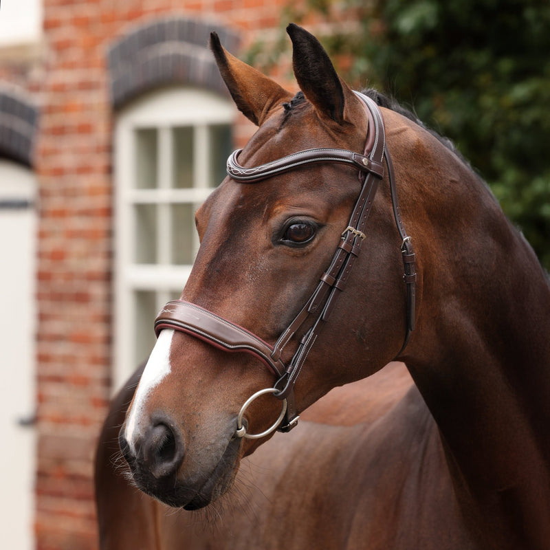 Load image into Gallery viewer, Velociti LUSSO Opus 180M Dressage Cavesson Bridle - Ashurst Equestrian &amp; Country
