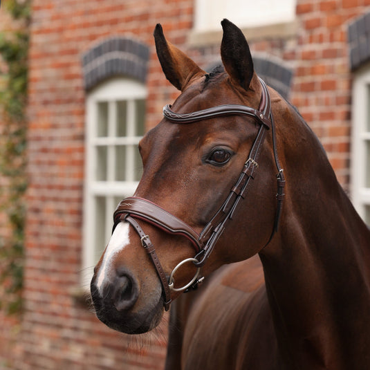 Velociti LUSSO Opus 180M Dressage Flash Bridle - Ashurst Equestrian & Country