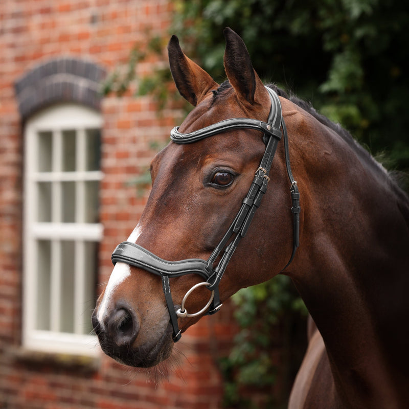 Load image into Gallery viewer, Velociti LUSSO Opus 180M Ergonomic Flash Bridle - Ashurst Equestrian &amp; Country
