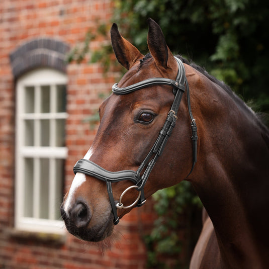 Velociti LUSSO Opus 180M Ergonomic Flash Bridle - Ashurst Equestrian & Country
