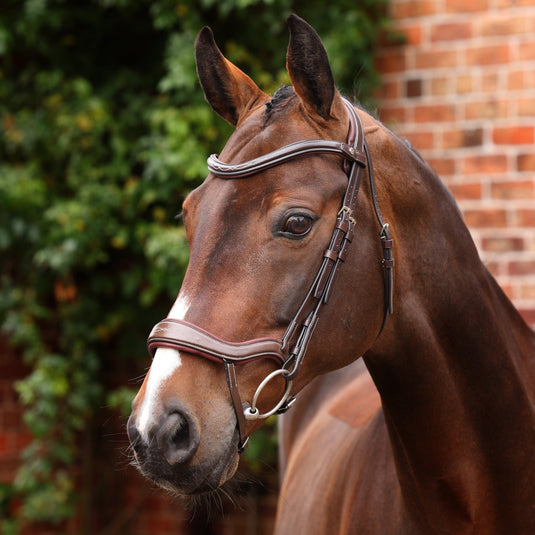 Velociti LUSSO Opus 180M Ergonomic Flash Bridle - Ashurst Equestrian & Country